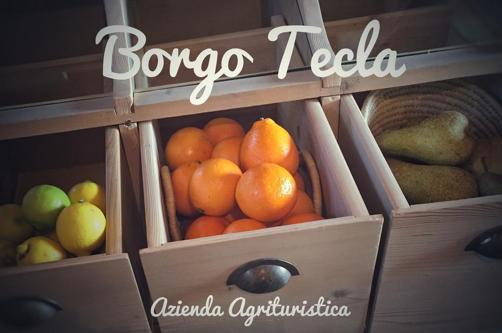 Agriturismo Borgo Tecla Rosà Eksteriør billede