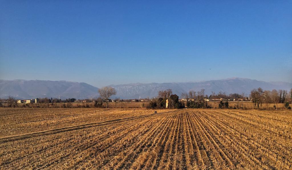 Agriturismo Borgo Tecla Rosà Eksteriør billede