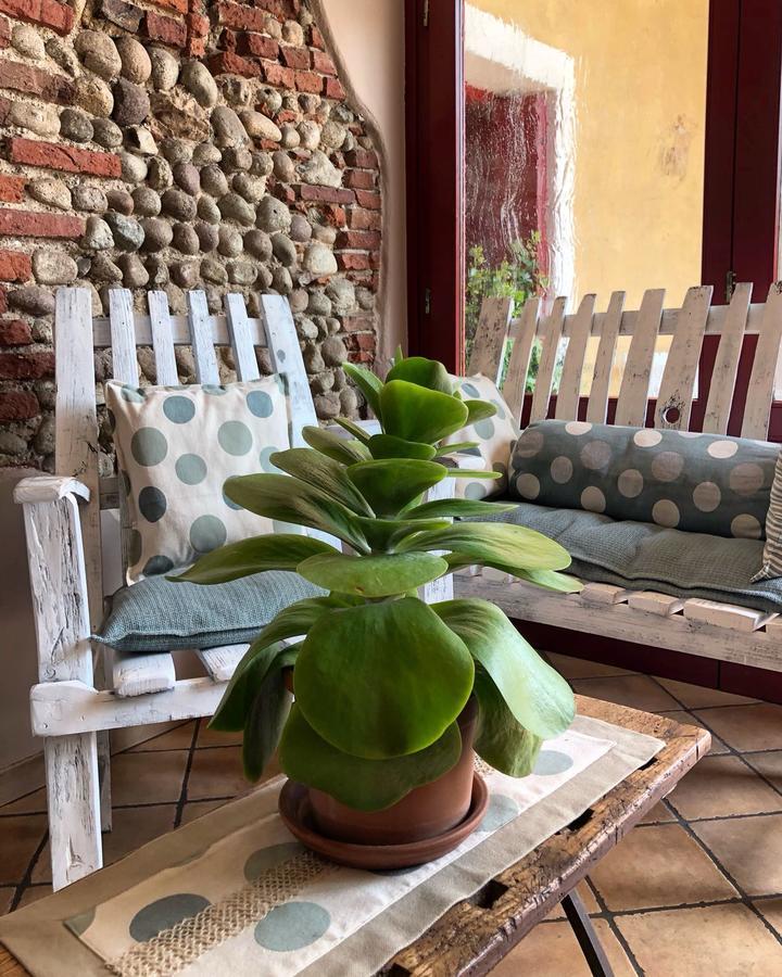 Agriturismo Borgo Tecla Rosà Eksteriør billede